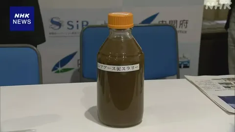 南鳥島沖 海底レアアースの分析結果発表 内閣府プロジェクト