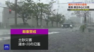 新潟や東北中心に大雨 関東も激しい雷雨に 西日本では39度超も