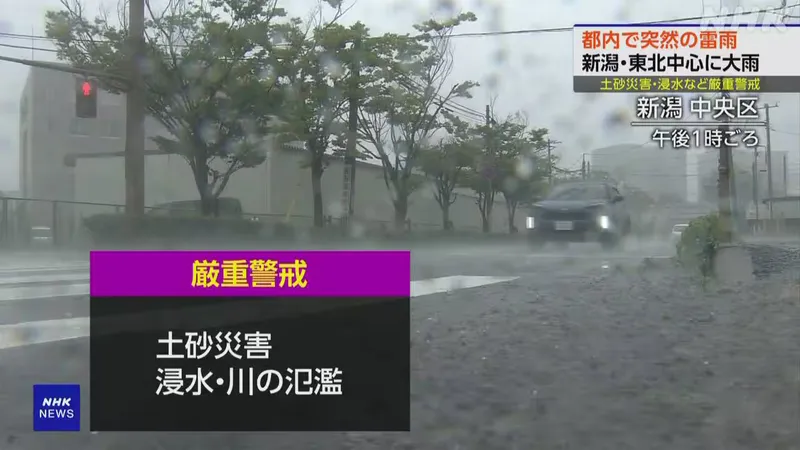 新潟や東北中心に大雨 関東も激しい雷雨に 西日本では39度超も