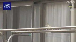 茨城 同居生活で唇縫うよう強要疑い ほかにも唇に針と糸の傷