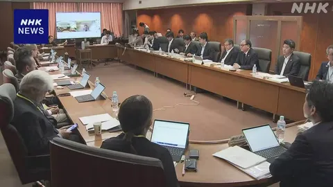 農水省 備蓄米買い戻し 新米の作柄など見極め判断へ