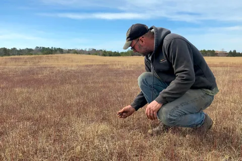 Wild Blueberry Farms Across Maine Suffer as Climate Change Upends Seasons
