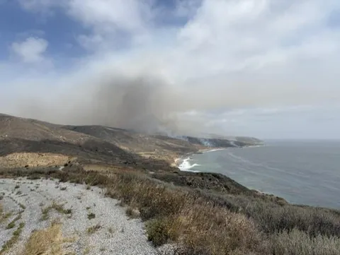 Fire in the ‘Galapagos of North America’ Risks Species Found Nowhere Else