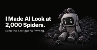 I'm afraid of spiders. So I made AI look at 2k of them