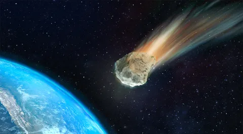 These Three Newly Discovered Mammals Survived the Extinction Event That Wiped Out the Dinosaurs