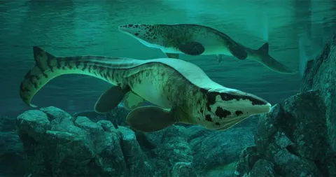 There’s a New T. Rex in Town—and It Swims