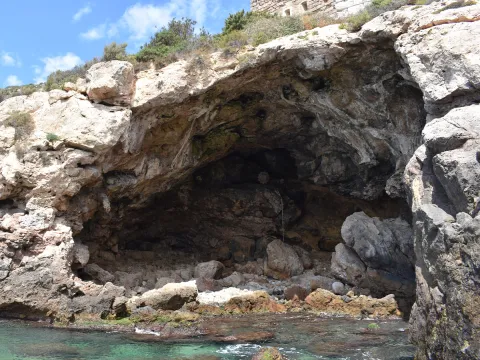 Neanderthals Lounged on the Beach Slurping Shellfish