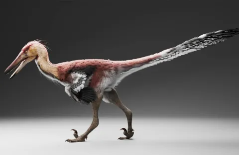 Nightmarish Heron-Like Dinosaur Unearthed in Patagonia