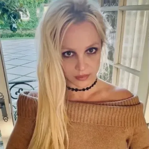 Britney Spears Offered Officers Lasagna, Spoke In British Accent During DUI Arrest