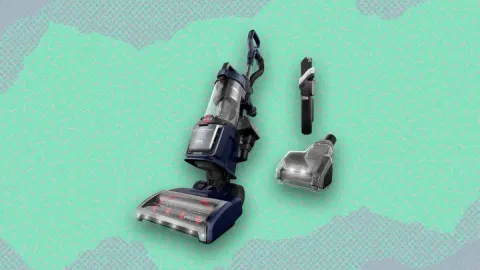This Powerful Bissell Pet Vacuum Is $50 Off Right Now