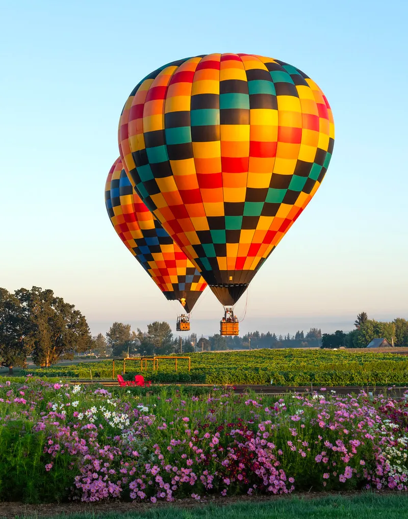 Hot air balloons over Summer Flowers event at the Wooden Shoe Tulip Farm.