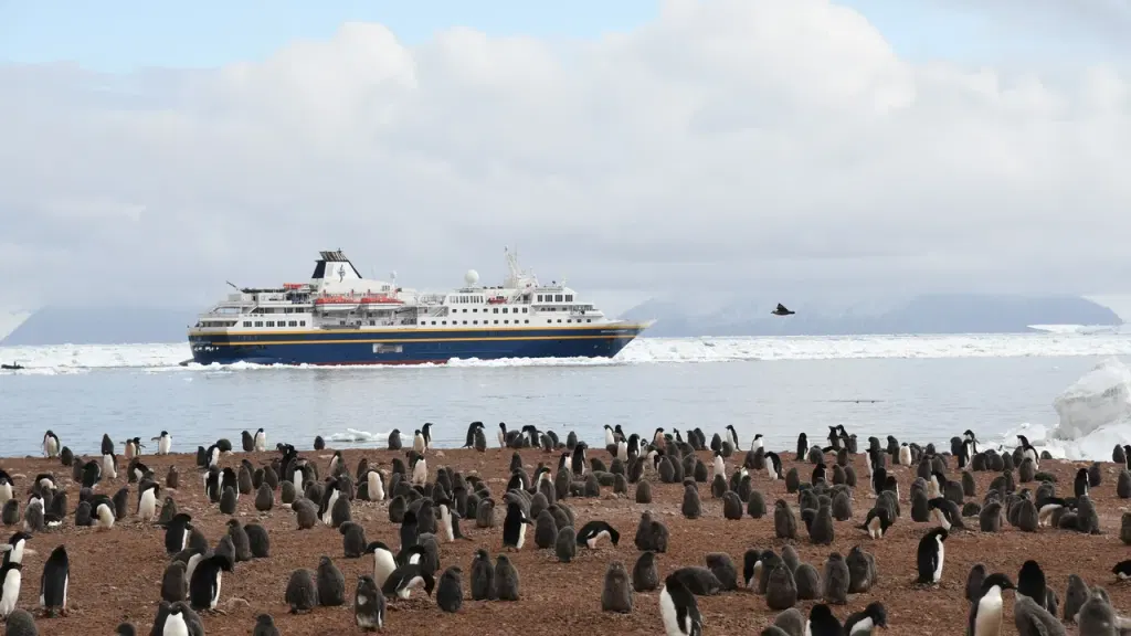 My Journey to See All 19 Penguin Species in the Wild, From Antarctica to Tristan da Cunha to New Zealand's Subantarctic Islands