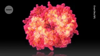 AI 'Raygun' can shrink and supersize proteins – enabling easy editing