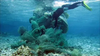 AI can detect underwater waste in oceans