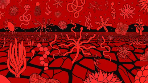 Our Warming Planet Is a Petri Dish for New and Deadly Microbes