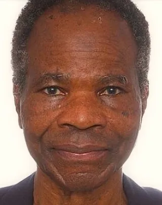 Nigeria’s unending scandals: Time for a step aside option, By MJ Balogun