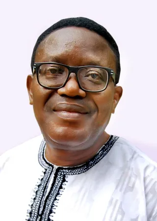ECOWAS needs our collective wisdom, not a shared amnesia, By Owei Lakemfa