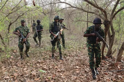 Troops foil terrorist infiltration, evacuate students in Borno