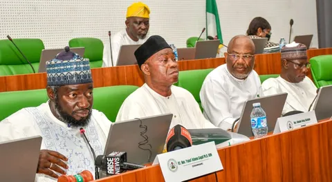 Fake Agency Probe: Reps panel gives police 48-hour ultimatum to produce alleged PFIPC DG