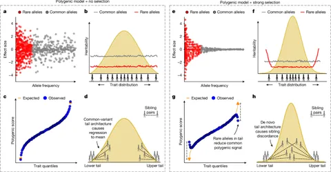 Distinct genetic architecture in the tails of complex traits