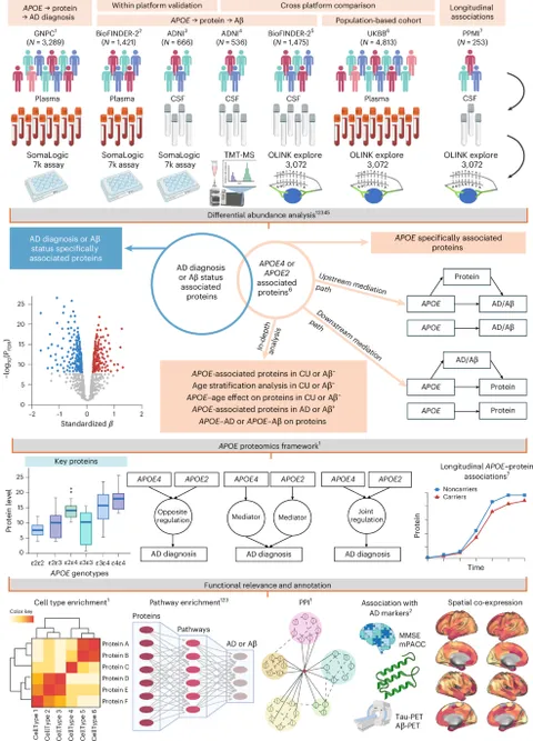 Proteomic signatures of APOE ε4 and APOE ε2 genetic variants and Alzheimer's dis