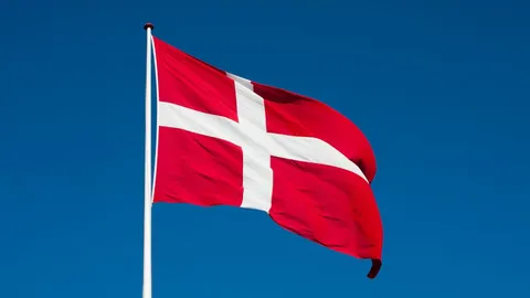 Danish pension fund blacklists SpaceX, says way overvalued with bad governance