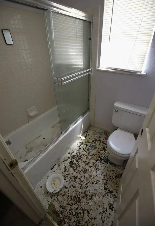 Berlin's Ministry of Bathrooms Decides One Shower Is Too Many