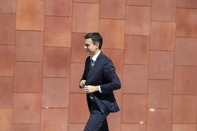 Elon Musk Was Right: Pedro Sánchez Is a Traitor