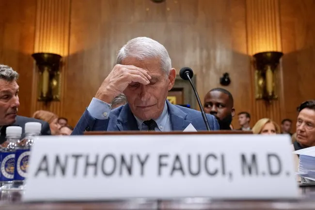 Marketing Idea: T-Shirt With Fauci's Face, 'I Take the Fifth' Caption
