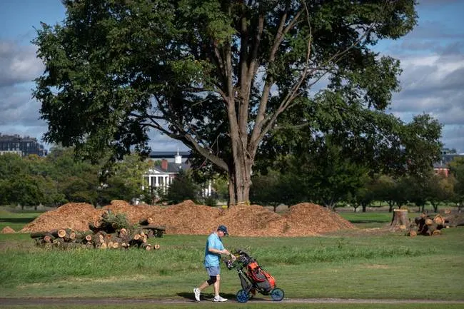 Trump Golf Course Battle Takes Another Turn As Judge Reyes Blocks Tree Removal, Calls Out DOJ