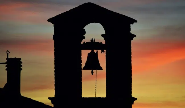 Will Roberts Loses Battle Against Osteosarcoma: 'Finally Ringing His Forever Cancer-Free Bell'