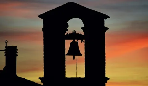 Will Roberts Loses Battle Against Osteosarcoma: 'Finally Ringing His Forever Cancer-Free Bell'