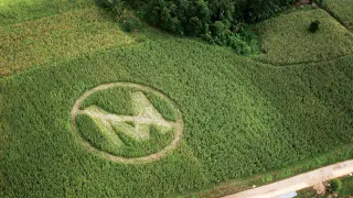 Monsanto's Cruel, and Dangerous, Monopolization on American Farming (2008)