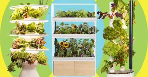 Best Indoor Garden Systems: I've Been Testing All Year (2026)