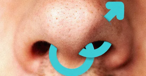 Sniffies’ Users Worry About a ‘Straightification’ of the Gay Hookup App