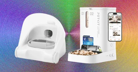 These 11 Automatic Cat Feeders Were the Best We Tested in 2026