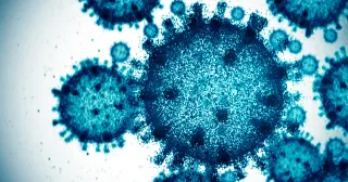 Scientists Used AI to Create 16 New Viruses