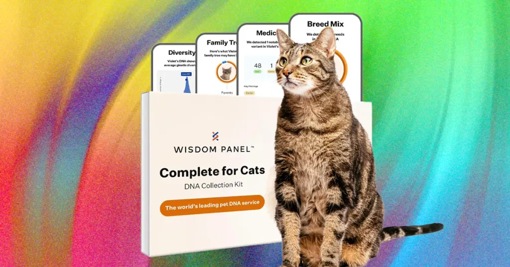 What’s the Best Pet DNA Test? We Tested the Most Popular Ones