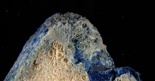 Plastic Is Melting Onto Corals
