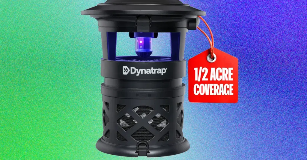 Best Mosquito Repellents for Your Yard: What Works and What Doesn’t (2026)