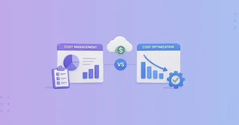 What Is the Difference Between Cloud Cost Optimization and Cloud Cost Management?