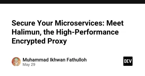 Secure Your Microservices: Meet Halimun, the High-Performance Encrypted Proxy
