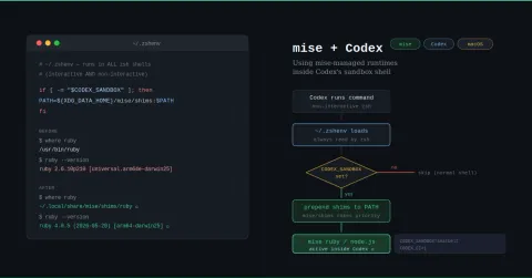 Making Codex CLI and Codex.app Use mise-managed Ruby and Node.js