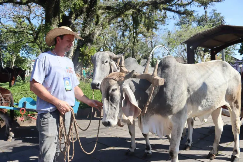 Ruralfest celebra amor pelo campo que ultrapassa gerações; veja como foi o desfile do Dia do Colono