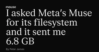 How Meta's Muse works, revealed by the 6.8 GB filesystem it sent me