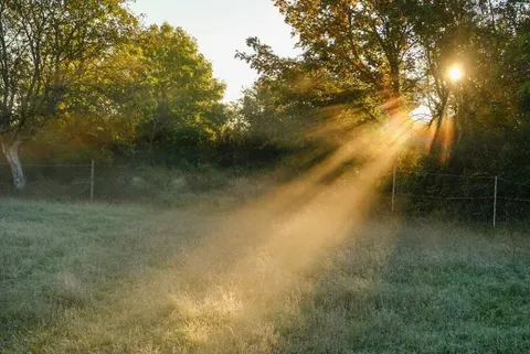 News24 | Saturday’s weather: Foggy morning, cool, cold across SA, with isolated showers in KZN