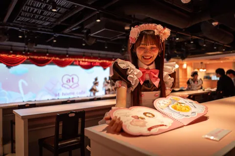 'Geek' hangout to tourist draw: Japan's maid cafes