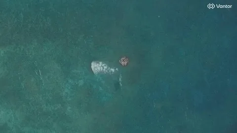 Satellite images show suspected structure at disputed South China Sea atoll, but later gone