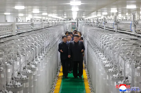 US, Japan reaffirm commitment to N. Korea's  'complete denuclearization'