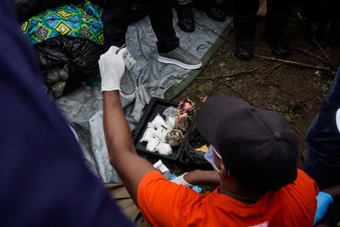 Liberia seizes $317 mil. of cocaine bound for Europe
